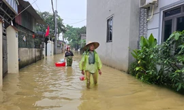 Hà Nội: Cận cảnh cuộc sống hàng trăm hộ dân vùng ngoại thành bị ngập sâu trong nước