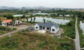  Vi phạm trên đất nông nghiệp diễn ra tràn lan ở Ninh Bình