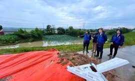 HÀ Nội: Tuyến đê xung yếu bị sạt trượt, hạn chế phương tiện lưu thông