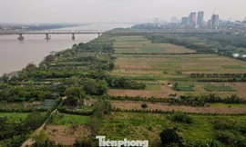 Hà Nội định hướng xây dựng trung tâm công nghiệp văn hóa tầm cỡ ở bãi giữa sông Hồng