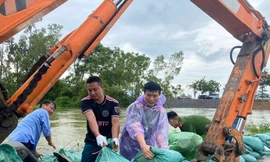 Hà Nội huy động hàng trăm người gia cố đê sông Tích