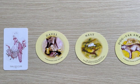 Tarot tuần này: Kim Ngưu cẩn thận sức khỏe, Xử Nữ “ngập” trong tình yêu thương