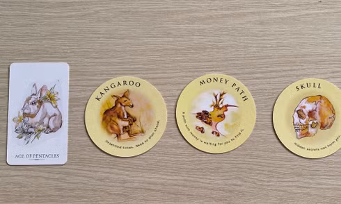 Tarot tuần này: Kim Ngưu cần thấu hiểu tránh rắc rối, Sư Tử đón tin vui tình cảm