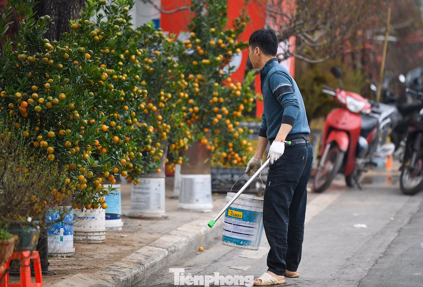 tp-tieu-thuongddt-2287.jpg