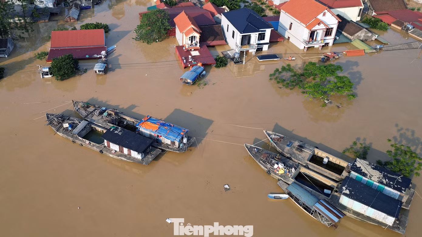 tp-song-cau29.jpg