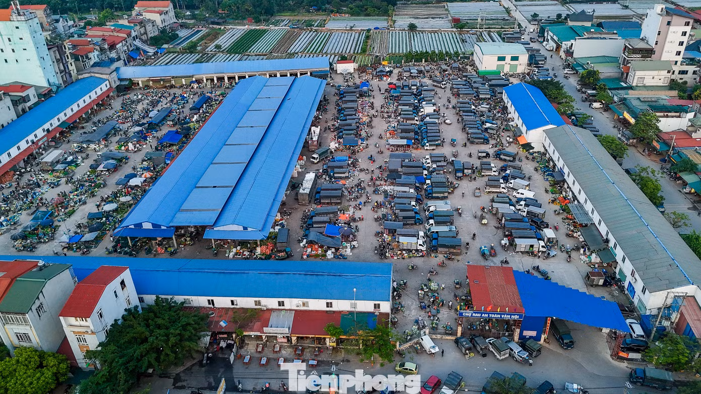 tp-phuc-thinh3.jpg