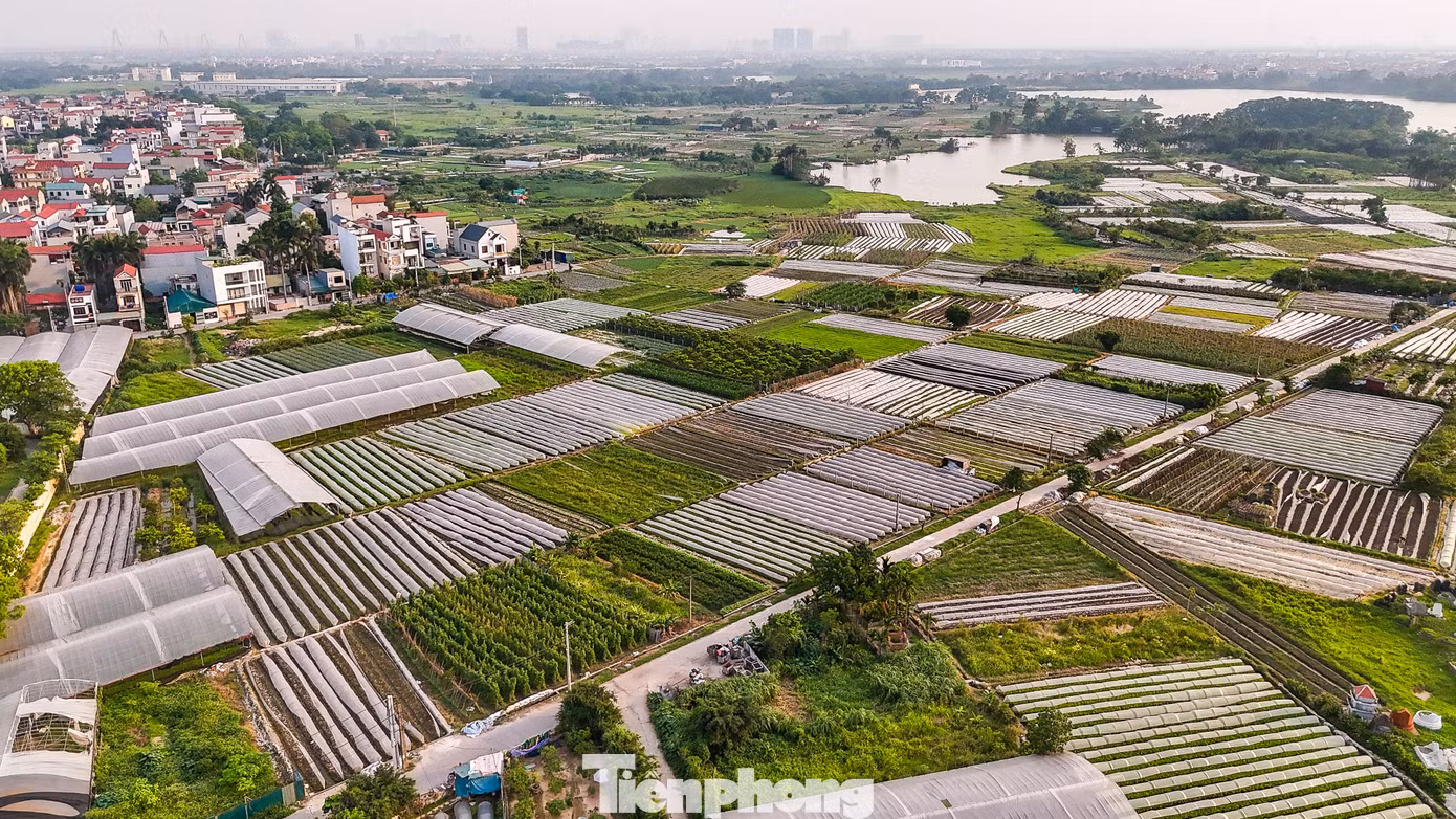 tp-phuc-thinh2.jpg