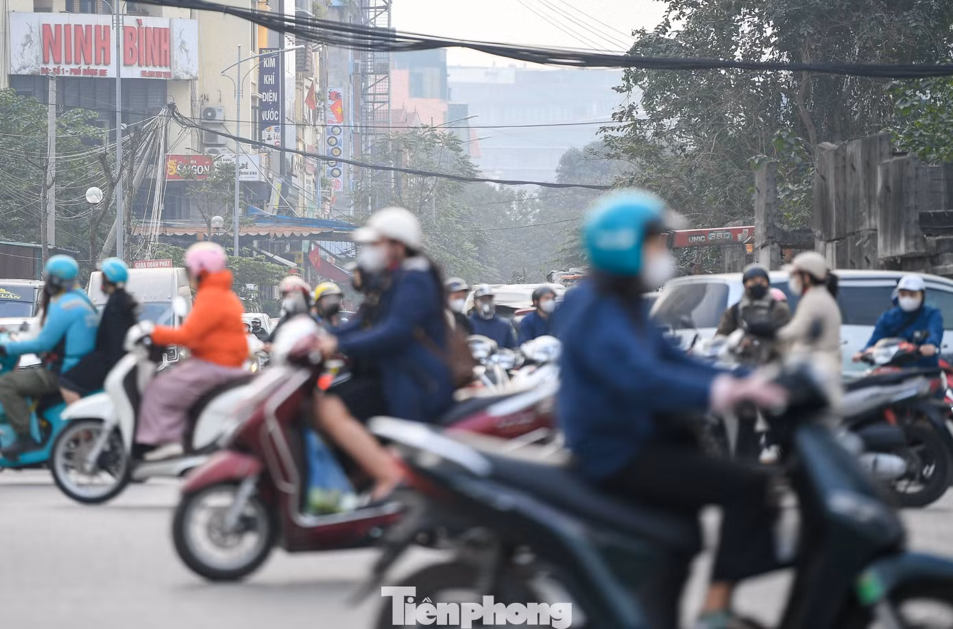 tp-me-tri-mieu-damddt-1193.jpg