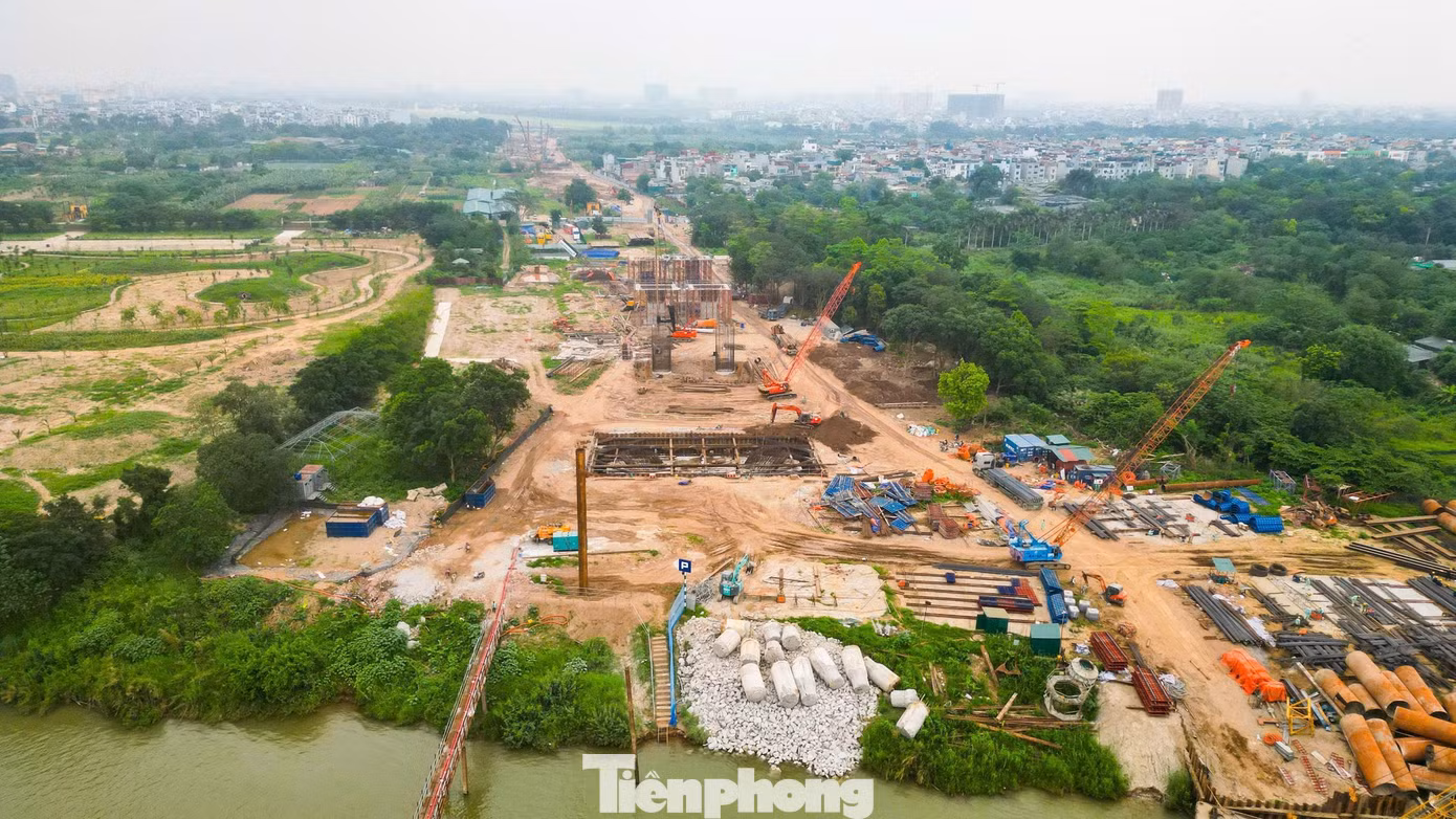 tp-cau-thuong-cat4.jpg