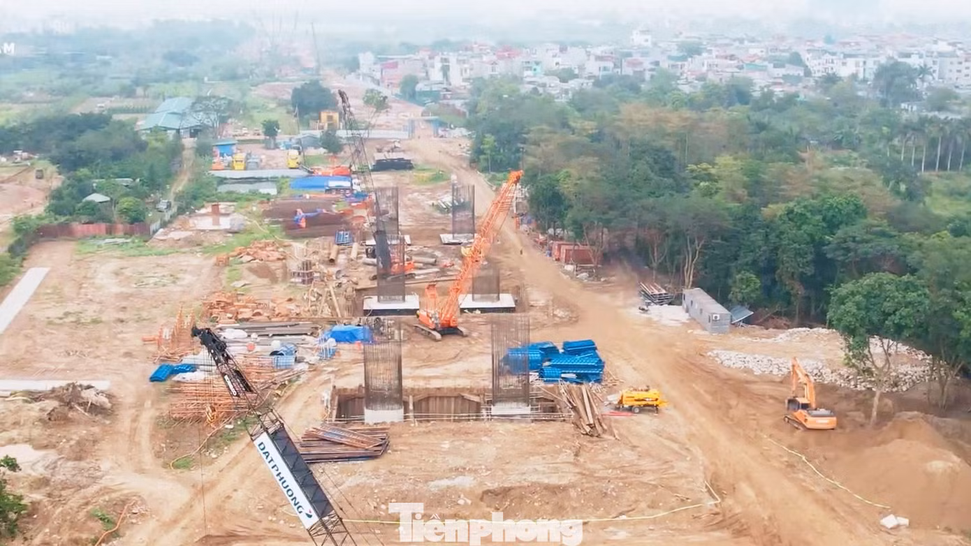 tp-cau-tran-hung-dao6.jpg