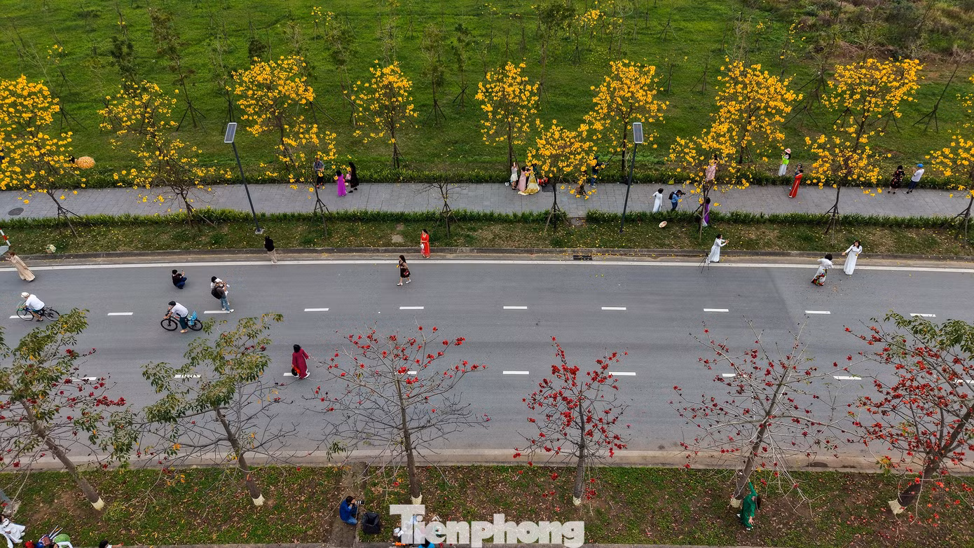 tp-hoa-phong-linh26.jpg