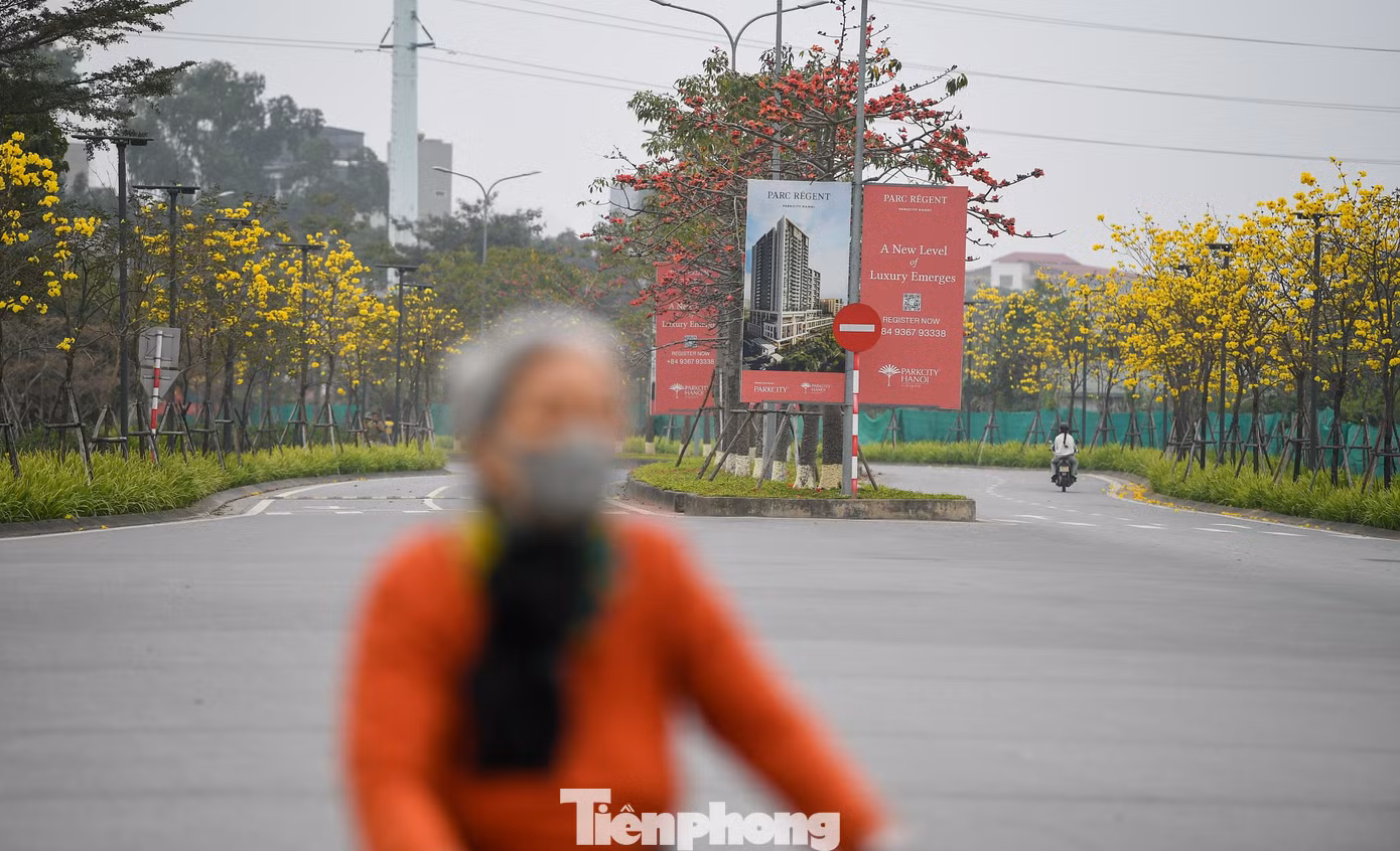 tp-hoa-phong-linh18.jpg