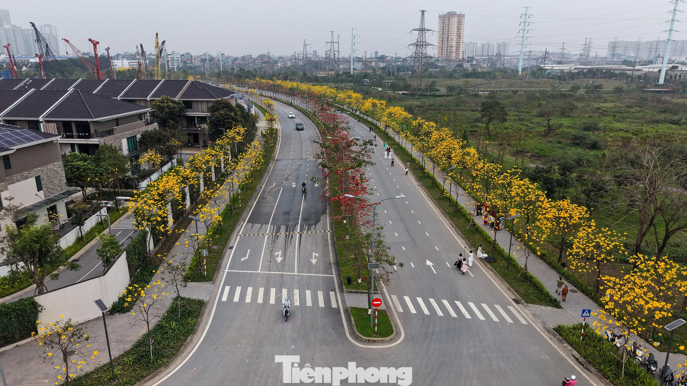 tp-hoa-phong-linh23.jpg