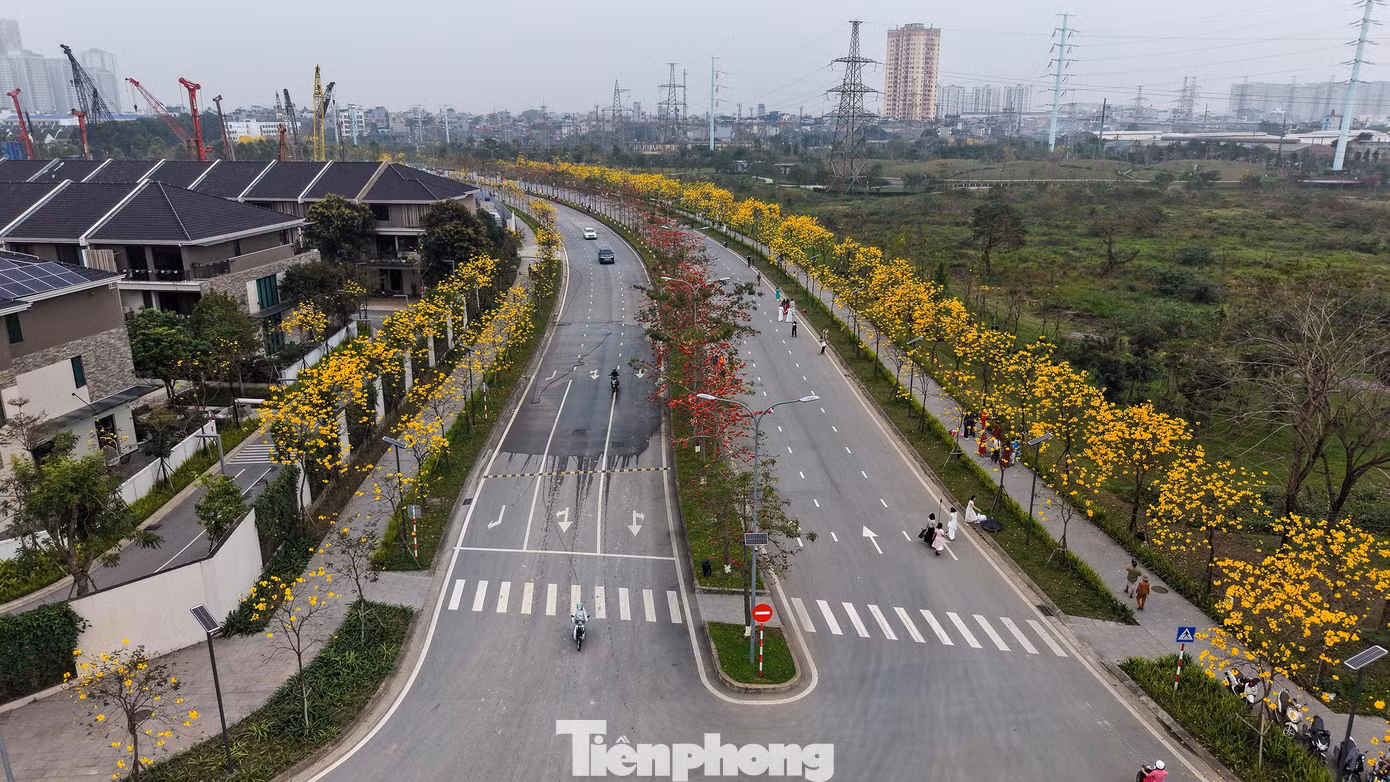 tp-hoa-phong-linh23.jpg