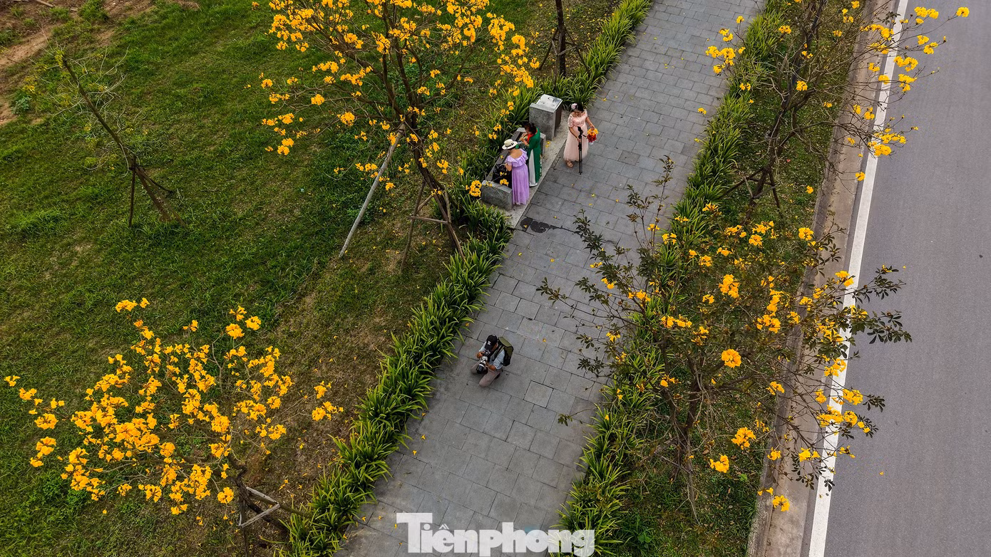 tp-hoa-phong-linh29.jpg