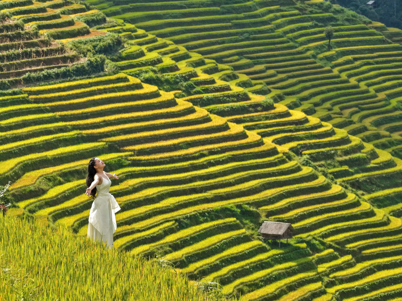 mua-cang-chai20.jpg
