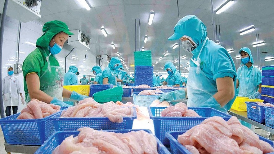 Xuất khẩu thủy sản sang Mỹ biến động do ‘ngấm’ thuế đối ứng