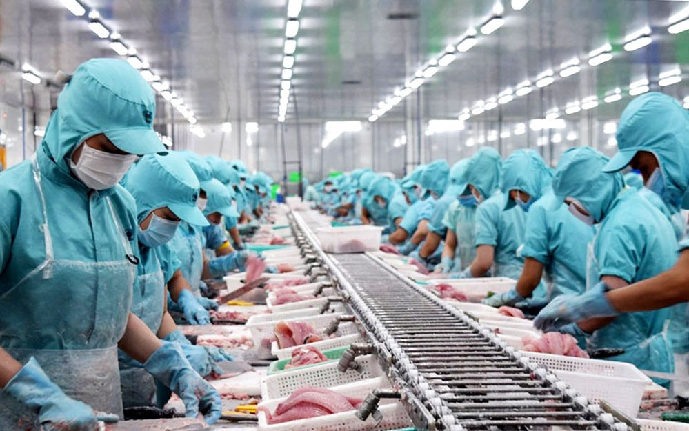 Châu Âu siết mạnh truy xuất nguồn gốc thủy sản