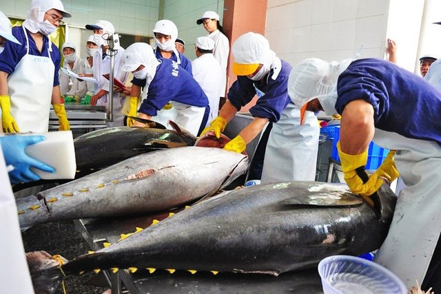 Gỡ thẻ vàng thủy sản: 'Chúng ta không còn chỗ cho sai sót'