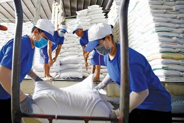 Vì sao xuất khẩu gạo giảm mạnh?