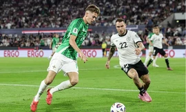 Bắc Ireland vs Đức.