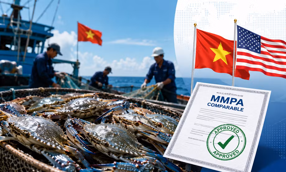 Tin vui với ghẹ Việt Nam xuất Mỹ