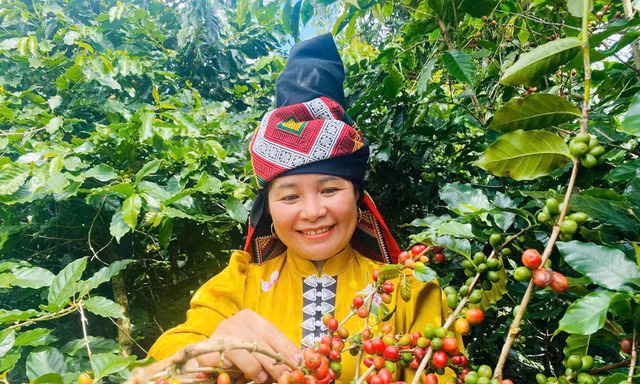 Khuyến công đang góp phần giúp nông thôn Sơn La bứt phá