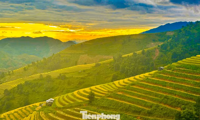 Rực rỡ, bát ngát ruộng bậc thang ở Xím Vàng