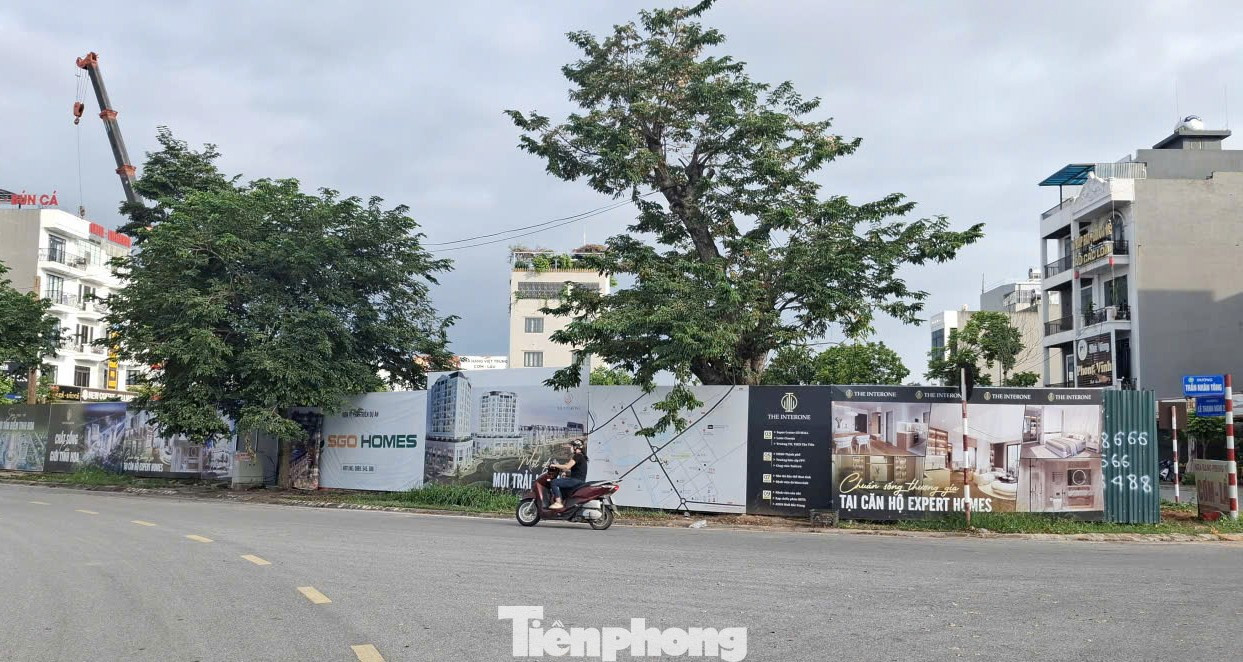 'Choáng' với giá chung cư ở tỉnh lẻ 'nhảy múa' lên đến 80 triệu đồng/m2