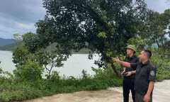 Quảng Ninh dùng 'mắt thần' bảo vệ những cánh rừng