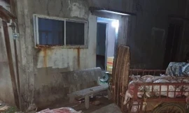 Phát hiện 'đại lý' gom heo bệnh, heo chết bán cho công nhân