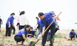 Trung ương đoàn, Tỉnh đoàn Nghệ An ra quân Ngày chủ nhật xanh lần thứ 4