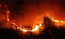 Phạt 7 năm tù người đàn ông châm lửa đốt rác làm cháy rừng lớn nhất Hà Tĩnh