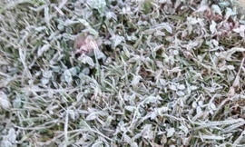 Băng giá ở miền núi, Nghệ An ra công điện ứng phó rét đậm, rét hại