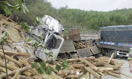 Vụ lật xe chở gỗ làm 7 người chết: Xử phạt doanh nghiệp 46 triệu đồng 