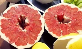 Bưởi Trung Quốc ruột đỏ au: Vỏ vàng không hạt, ngày bán cả tấn