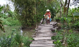 Người dân Hậu Giang thót tim qua cầu... chờ sập