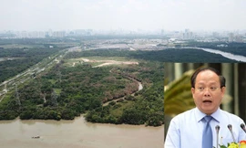 Phi vụ chuyển nhượng 32ha đất công có 'dấu tay' ông Tất Thành Cang