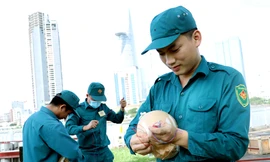 Pháo hoa chào mừng năm mới ở TPHCM có gì đặc sắc?