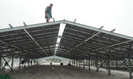 Kỳ lạ làm trang trại ‘điện mặt trời’ tại TT-Huế: Áp mái lên hàng loạt nhà... không mái