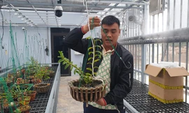 Bộ Công an bắt giữ 2 anh em đại gia lan Var đất mỏ