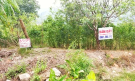 Vân Đồn 'quay cuồng' trong cơn sốt đất