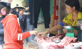 Gần Tết, bà nội trợ càng rầu vì giá heo tăng