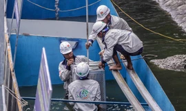 Chuyên gia Nhật tạo khu trình diễn xử lý nước, hứa hẹn tắm trên sông Tô Lịch