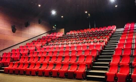 TP.HCM kể từ 12h ngày 9/2: Không tổ chức khai mạc đường hoa, đóng cửa quán karaoke, rạp chiếu phim