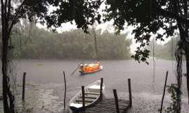 Người đàn bà chèo thuyền trên Đồng Tháp Mười