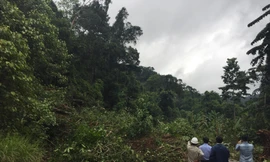 Nhà máy thuỷ điện Đắk Sin 1 'tê liệt' bị cô lập do sạt lở đất