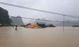 Quảng Bình: Nhiều người thương vong trong lúc chạy trốn cơn lũ lịch sử