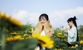 Cánh đồng hoa khoe sắc ngày xuân thu hút các bạn trẻ đến chụp ảnh. Ảnh: Trương Định