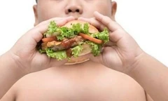 Báo động từ bữa ăn hiện đại